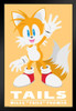 Sonic the Hedgehog Tails Sega Video Game Gaming Black Wood Framed Art Poster 14x20