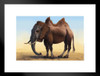 Camelephant Camel Elephant Animal Mashup by Vincent Hie Funny Matted Framed Art Print Wall Decor 20x26 inch