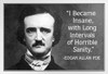 I Became Insane Intervals Horrible Sanity Edgar Allan Poe Famous Motivational Inspirational Quote White Wood Framed Poster 20x14