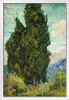 Vincent van Gogh Cypress Trees Poster 1889 Nature Dutch Post Impressionist Landscape Painting White Wood Framed Art Poster 14x20