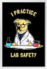 I Practice Lab Safety Labrador Dog Funny Parody LCT Creative White Wood Framed Poster 14x20