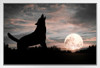 Lone Wolf Silhouette Howling At Moon Dramatic Wolf Posters For Walls Posters Wolves Print Posters Art Wolf Wall Decor Nature Posters Wolf Decorations for Bedroom White Wood Framed Art Poster 14x20