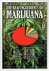 The Real Ingredients of Marijuana Funny White Wood Framed Poster 14x20