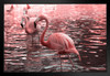 Just Pink Flamingos Wading in Water Photo Flamingo Prints Flamingo Wall Decor Beach Theme Bathroom Decor Wildlife Print Pink Flamingo Bird Exotic Beach Poster White Wood Framed Art Poster 20x14
