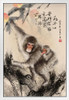 Year Of The Monkey Traditional Chinese Zodiac White Wood Framed Poster 14x20