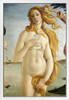 Botticelli Birth of Venus Selfie Portrait Painting Funny White Wood Framed Poster 14x20