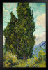 Vincent van Gogh Cypress Trees Poster 1889 Nature Dutch Post Impressionist Landscape Painting Stand or Hang Wood Frame Display 9x13