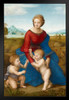 Raphael Madonna of the Meadow Baby Realism Romantic Artwork Raffaello Prints Biblical Drawings Portrait Painting Wall Art Renaissance Posters Canvas Art Stand or Hang Wood Frame Display 9x13
