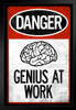 Warning Sign Danger Genius At Work Red Black Textured Stand or Hang Wood Frame Display 9x13