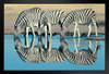 Burchells Zebra Drinking at Waterhole Namibia Photo Photograph Art Print Stand or Hang Wood Frame Display Poster Print 13x9