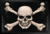 Skull Crossbones Pirates Symbol Warning Sign Poster Artistic Drawing Illustration Human Skeleton Death Stand or Hang Wood Frame Display 9x13