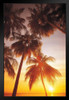 Palms at Sunrise Tropical Beach Photo Photograph Art Print Stand or Hang Wood Frame Display Poster Print 9x13