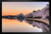 Jefferson Memorial at Sunrise Washington DC Photo Photograph Art Print Stand or Hang Wood Frame Display Poster Print 13x9