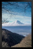 Winter Fuji Honshu Island Japan Photo Photograph Art Print Stand or Hang Wood Frame Display Poster Print 9x13