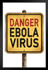 Weathered Danger Ebola Virus Warning Sign Art Print Stand or Hang Wood Frame Display Poster Print 9x13