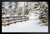 Snowy Forest Path With Fence Winter Landscape Photo Art Print Stand or Hang Wood Frame Display Poster Print 13x9