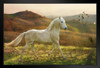 White Horse Running Trotting in a Field Wild Horses Decor Galloping Horses Wall Art Horse Poster Print Poster Horse Pictures Running Horse Breed Poster Stand or Hang Wood Frame Display 9x13