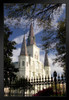 Saint Louis Cathedral Through The Trees Photo Photograph Art Print Stand or Hang Wood Frame Display Poster Print 9x13