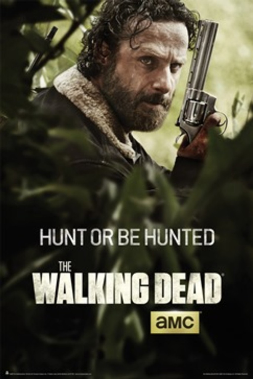 The Walking Dead Posters & Wall Art Prints