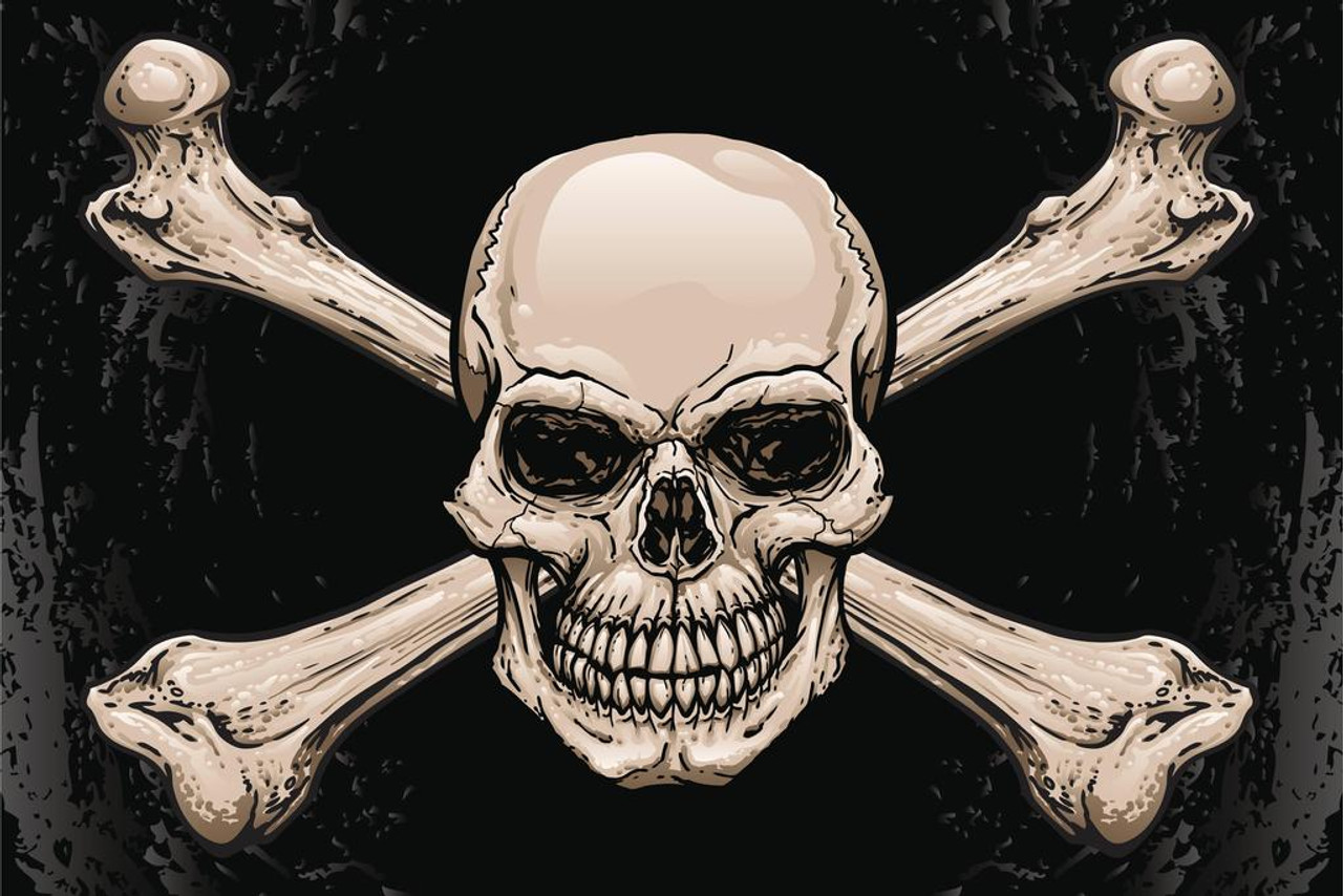  Skull Bones Crossbones Detailed Artistic Drawing Poster Black  White Sketch Pirate Flag Motif Human Skeleton Death Thick Paper Sign Print  Picture 8x12: Drawings