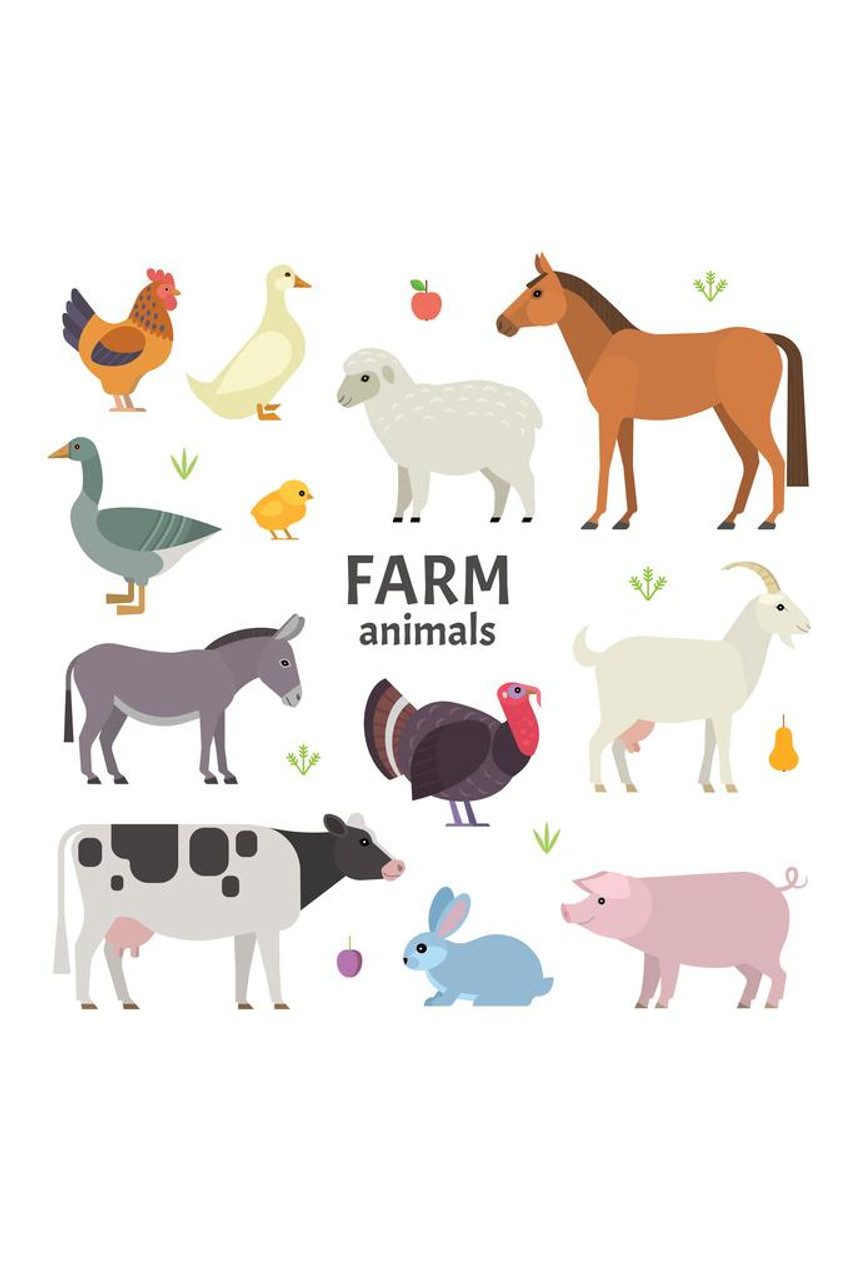 Farm Animals Horse Cow Pig Sheep Drawing Kids Room Poster Animal Collection  Illustration Nature Wildlife Zoo Cool Wall Decor Art Print Poster 24x36 -  Poster Foundry