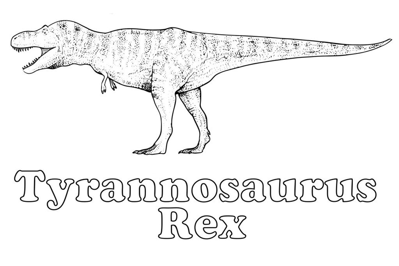 T Rex Coloring Pages For Kids