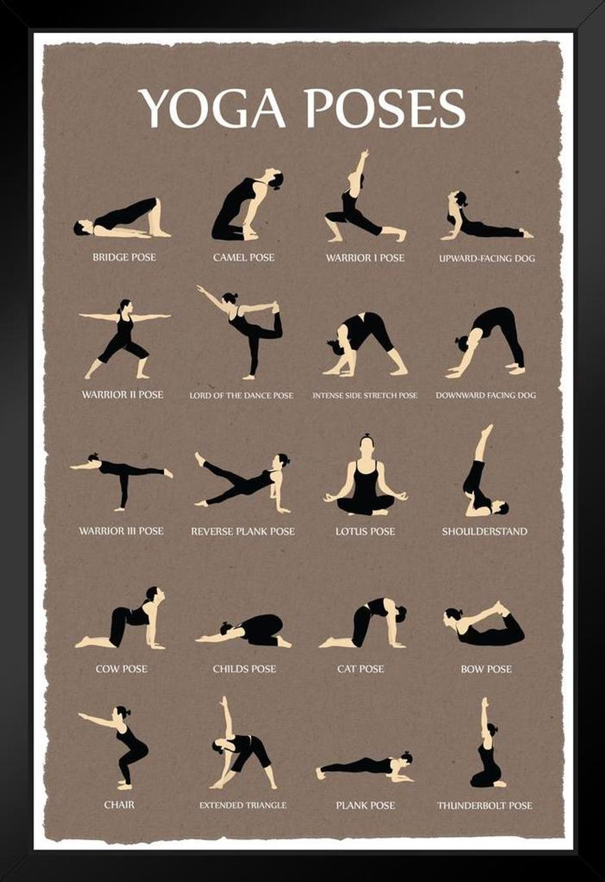 Yoga Poses Named After Animals - 20+ Animal Yoga Poses