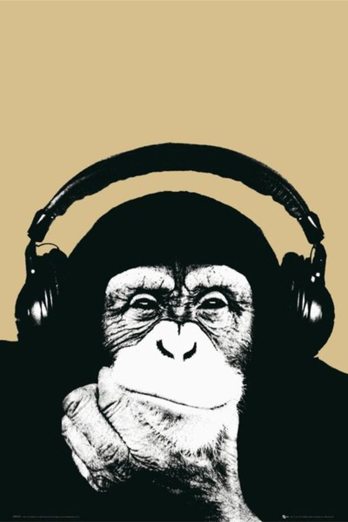 Steez Monkey Chimp Chimpanzee Cool Wall Art Print Poster 24x36