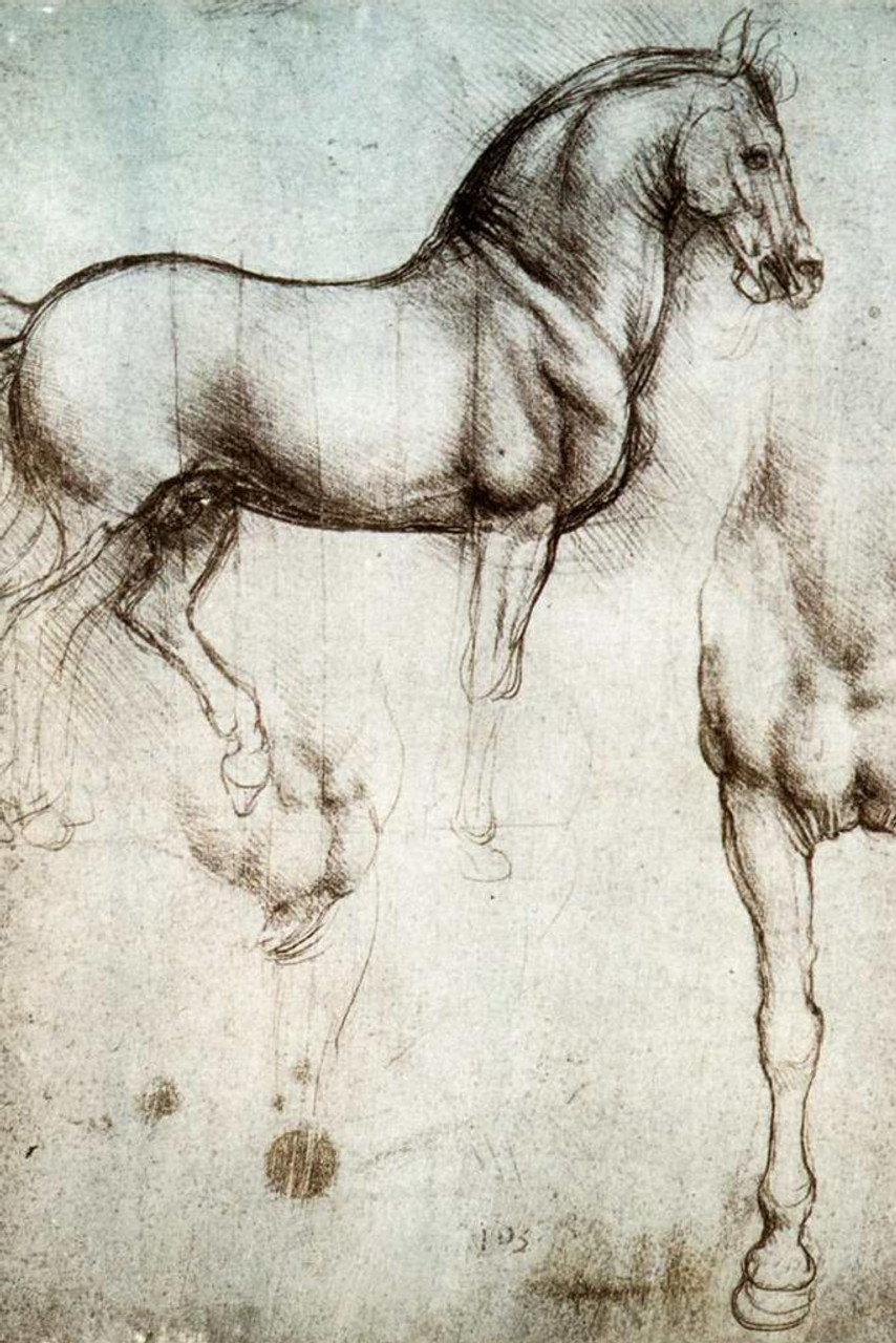 Leonardo da Vinci Study Of Horses Poster 1490 Animal Anatomy Drawing Sketch  Diagram Stretched Canvas Art Wall Decor 16x24 - Poster Foundry