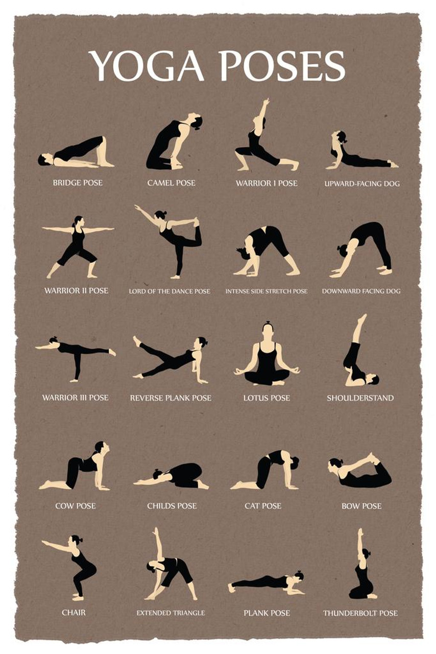 Yoga Poses Reference Chart Studio Gray Stretched Canvas Wall Art