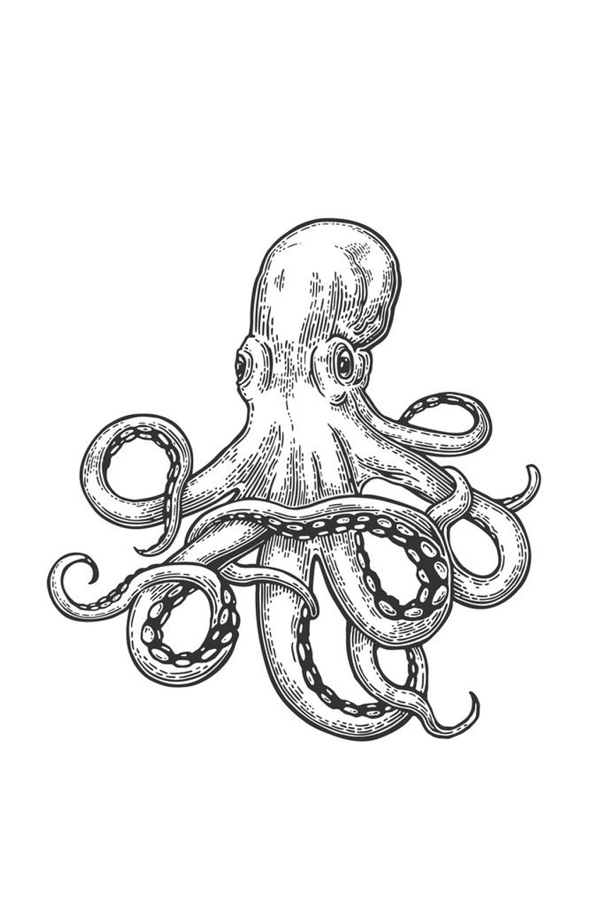 Intricate Octopus Tentacles Drawing on White Background Stock Illustration  - Illustration of sculpted, dark: 291063225