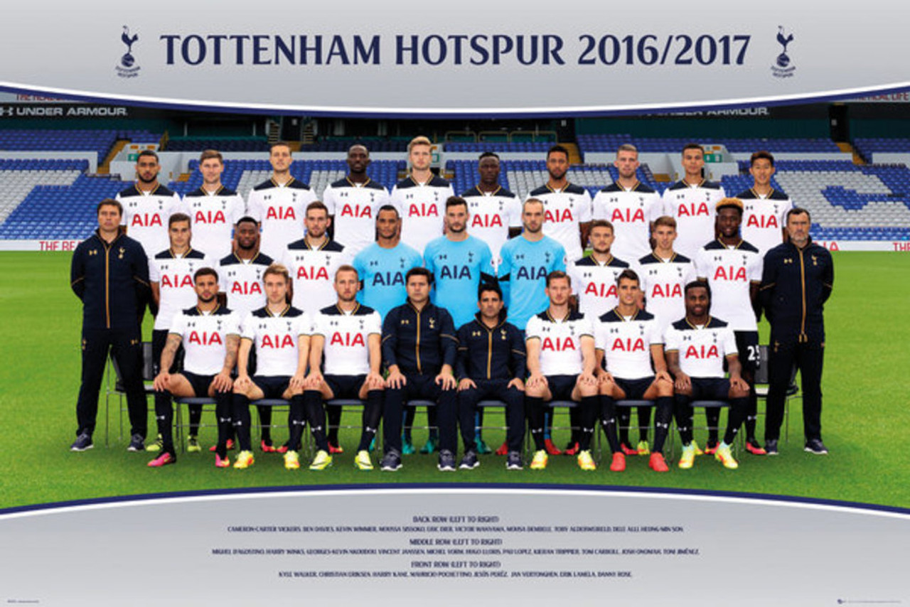 Buy Official Tottenham Hotspur F.C. Picture Squad 16 x 12 17/18