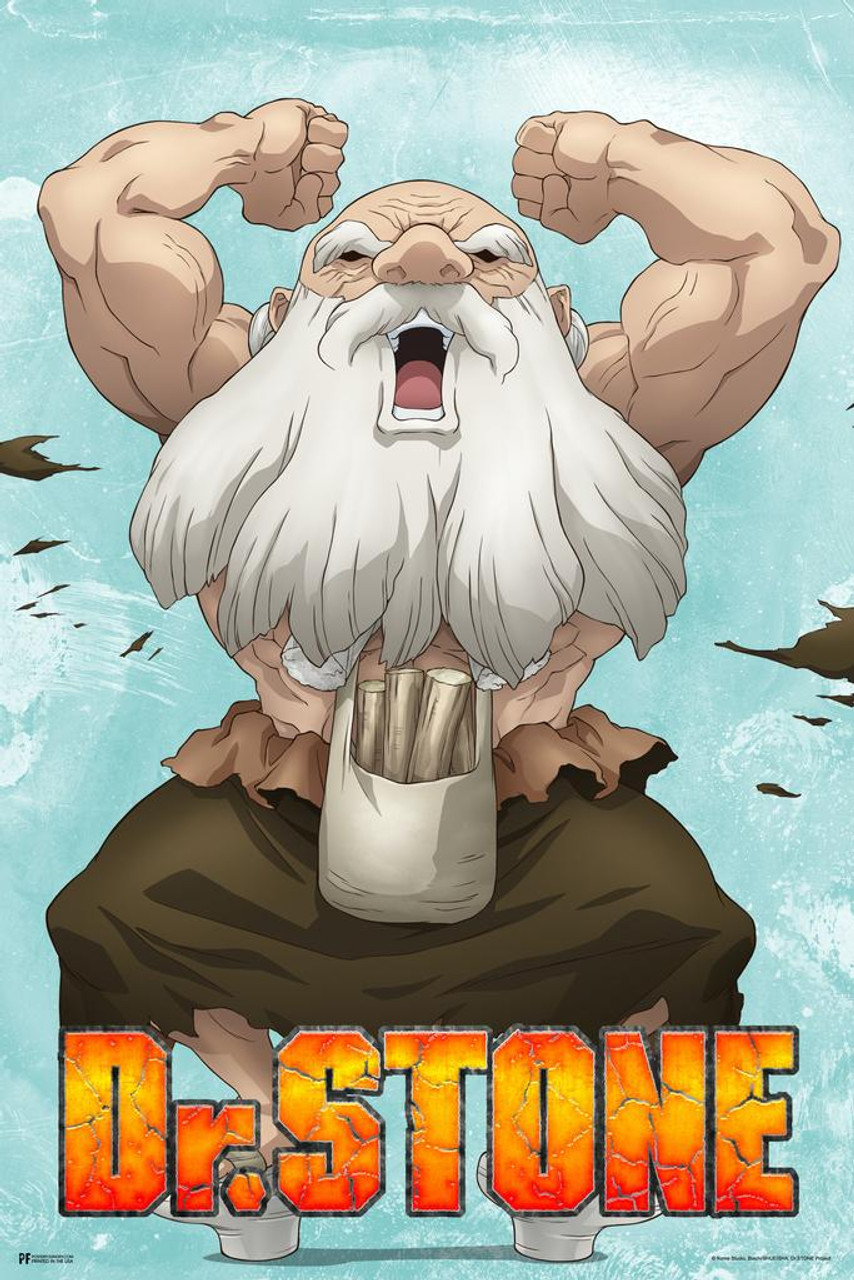Dr Stone Kaseki Character Portrait Anime Series Crunchyroll Webtoon Merch  Anime Poster Dr Stone Merch Anime Wall Art Manga Wall Decor Doctor Stone  Animated Thick Paper Sign Print Picture 8x12 - Poster