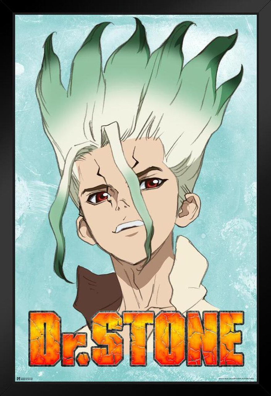 Dr Stone Senku Character Portrait Anime Series Crunchyroll Webtoon Merch  Anime Poster Dr Stone Merch Anime Wall Art Manga Wall Decor Doctor Stone  Animated Series Stand or Hang Wood Frame Display 9x13 -