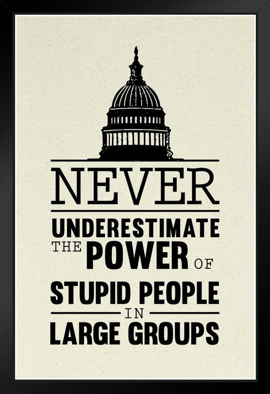 Never Underestimate the Power of Stupid People In Large Groups