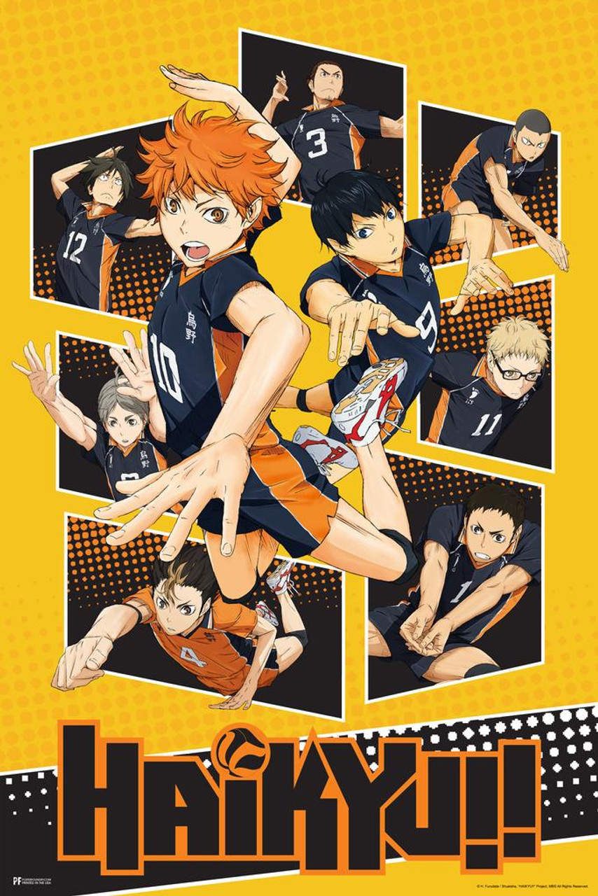 Haikyuu Poster Karasuno High School Volleyball Team Shoyo Anime Stuff  Haikyuu Manga Haikyu Anime Poster Crunchyroll Streaming Anime Merch  Animated