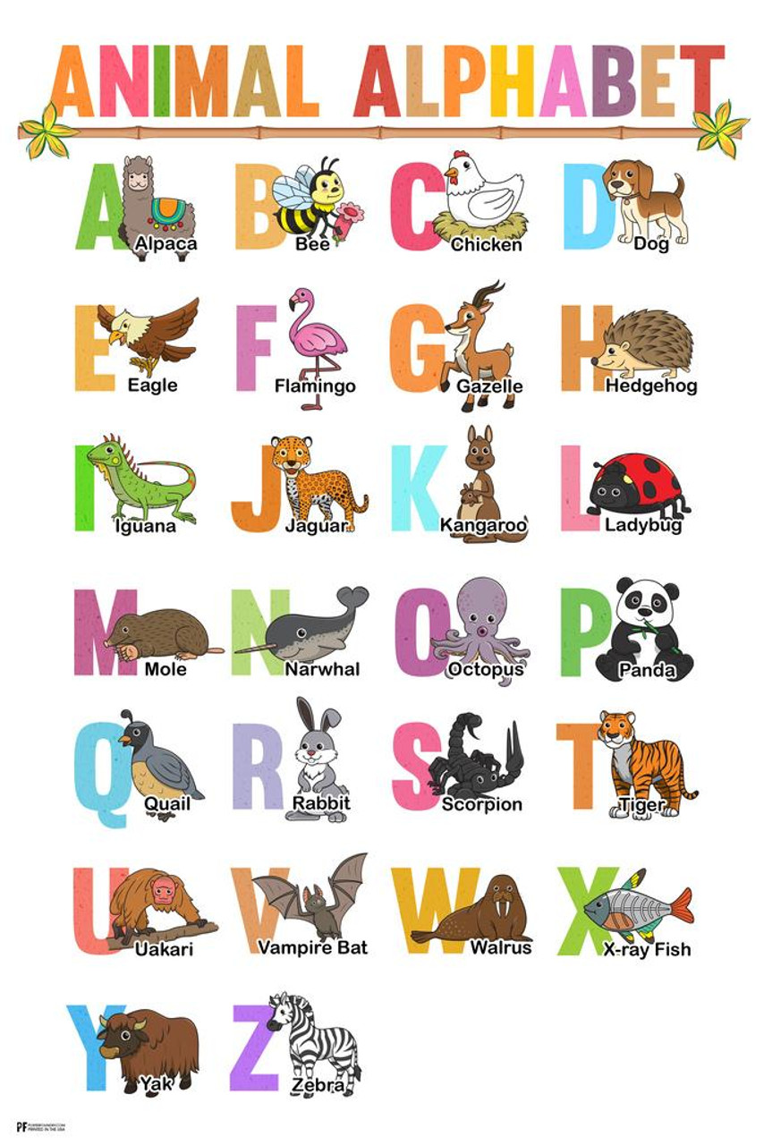 Alphabet Poster Learn My ABC Wall Chart Fun Children Educational Photo  Print A2 on eBid United States
