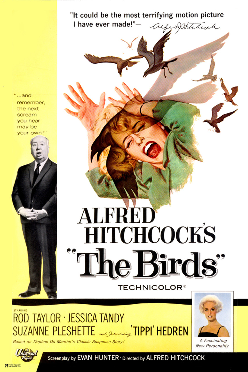 Alfred Hitchcock The Birds Poster Retro Vintage Horror Movie Poster Horror  Movie Merchandise Horror Decor Goth Decor Spooky Scary Halloween  Decorations Cool Wall Decor Art Print Poster 12x18 - Poster Foundry