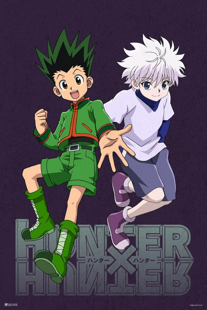  Hunter X Hunter - Manga/Anime TV Show Poster (Heroes