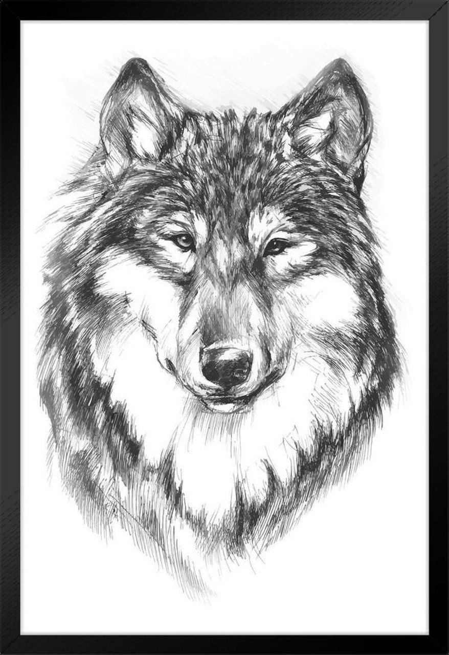 Wolf Face Portrait Artistic Black White Charcoal Sketch Wolf Posters For  Walls Posters Wolves Print Posters Art Wolf Wall Decor Nature Posters Wolf  Decorations White Wood Framed Poster 14x20 - Poster Foundry