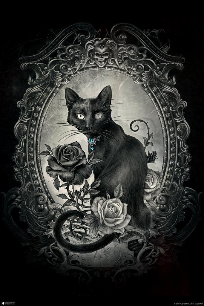 Alchemy Paracelsus Black Cat Gothic Goth Room Decor Skull Horror