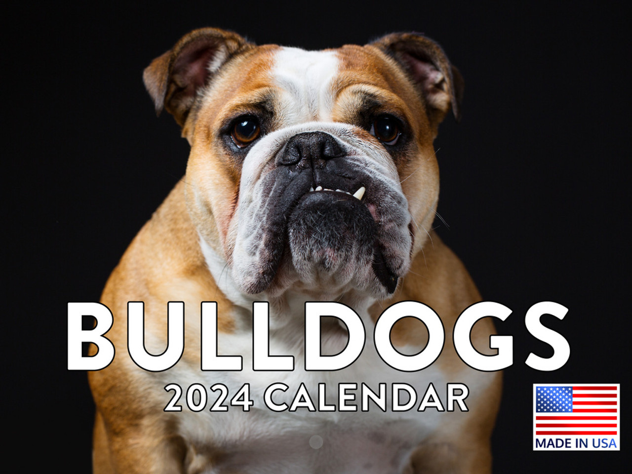 Bulldog Calendar 2024 Monthly Wall Calender Poster Foundry