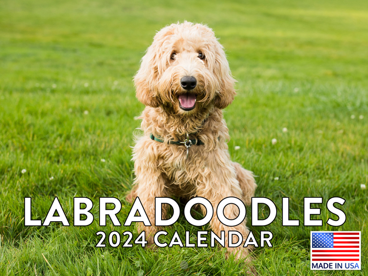 Labradoodle Calendar 2024 Monthly Wall Calender Poster Foundry