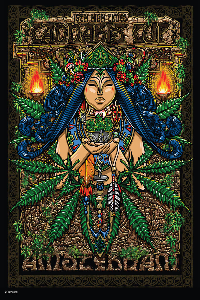 High Times Cannabis Cup Amsterdam Cool Wall Art Print Poster 12x18