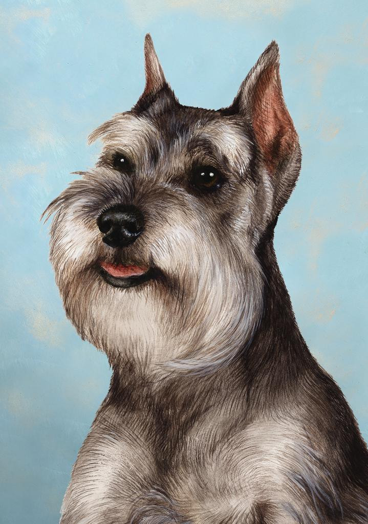 Süße Schnauzer-Lesekarte – Perfekt Für Buchliebhaber Und Hundefreunde