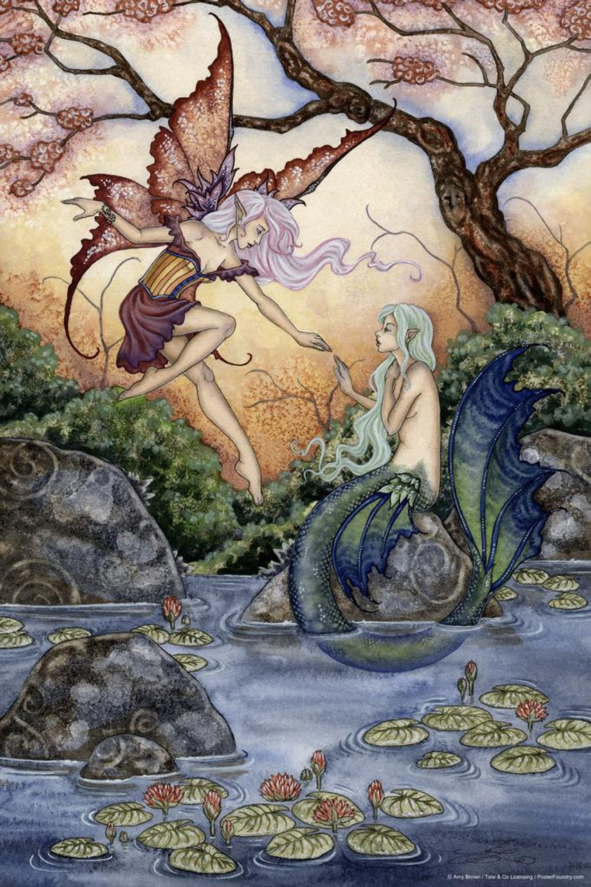 Fairy Decor The Introduction Fairies In Pond by Amy Brown Fantasy Drawing  Poster Winged Water Fairy Meeting Mermaid Magical Cool Huge Large Giant  Poster Art 36x54 - Poster Foundry