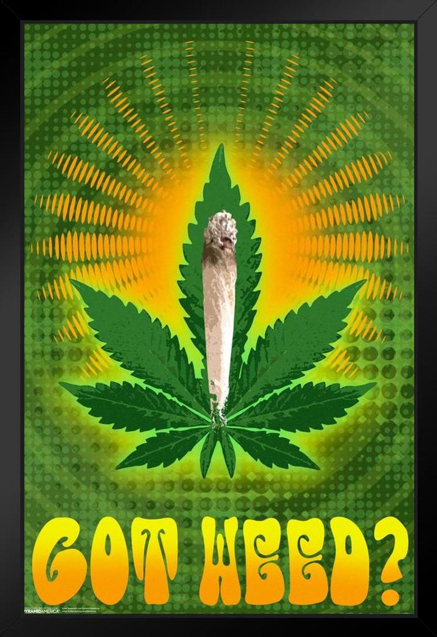 Vintage Vintage 90s Marijuana Cannabis Holy Roar Smoke Every Day