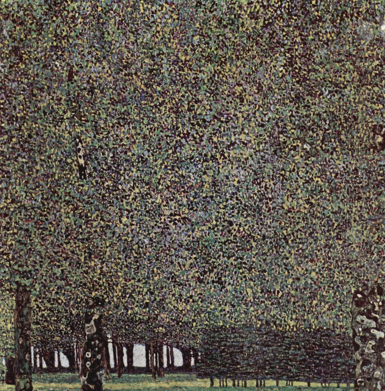 Gustav Klimt The Park Art Nouveau Prints and Posters Gustav Klimt Canvas Wall Art Fine Wall Decor Nature Landscape Abstract Symbolist Painting Mosaic Wall Decor Art Print Poster 12x18 -