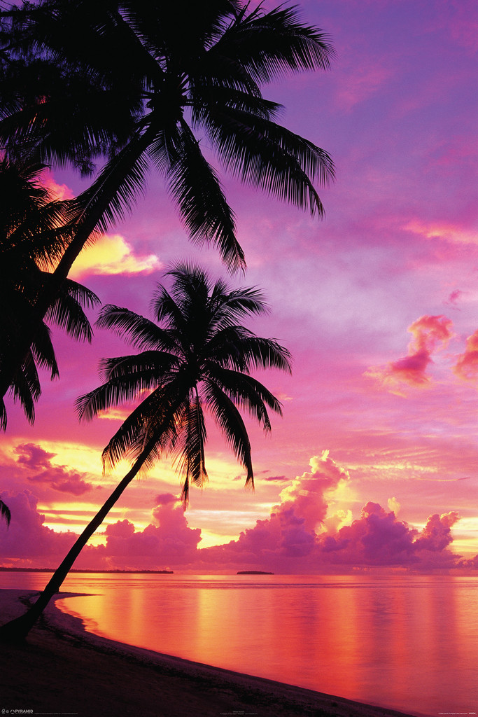 Tahitian Sunset Photo Photograph Cool Wall Decor Art Print Poster