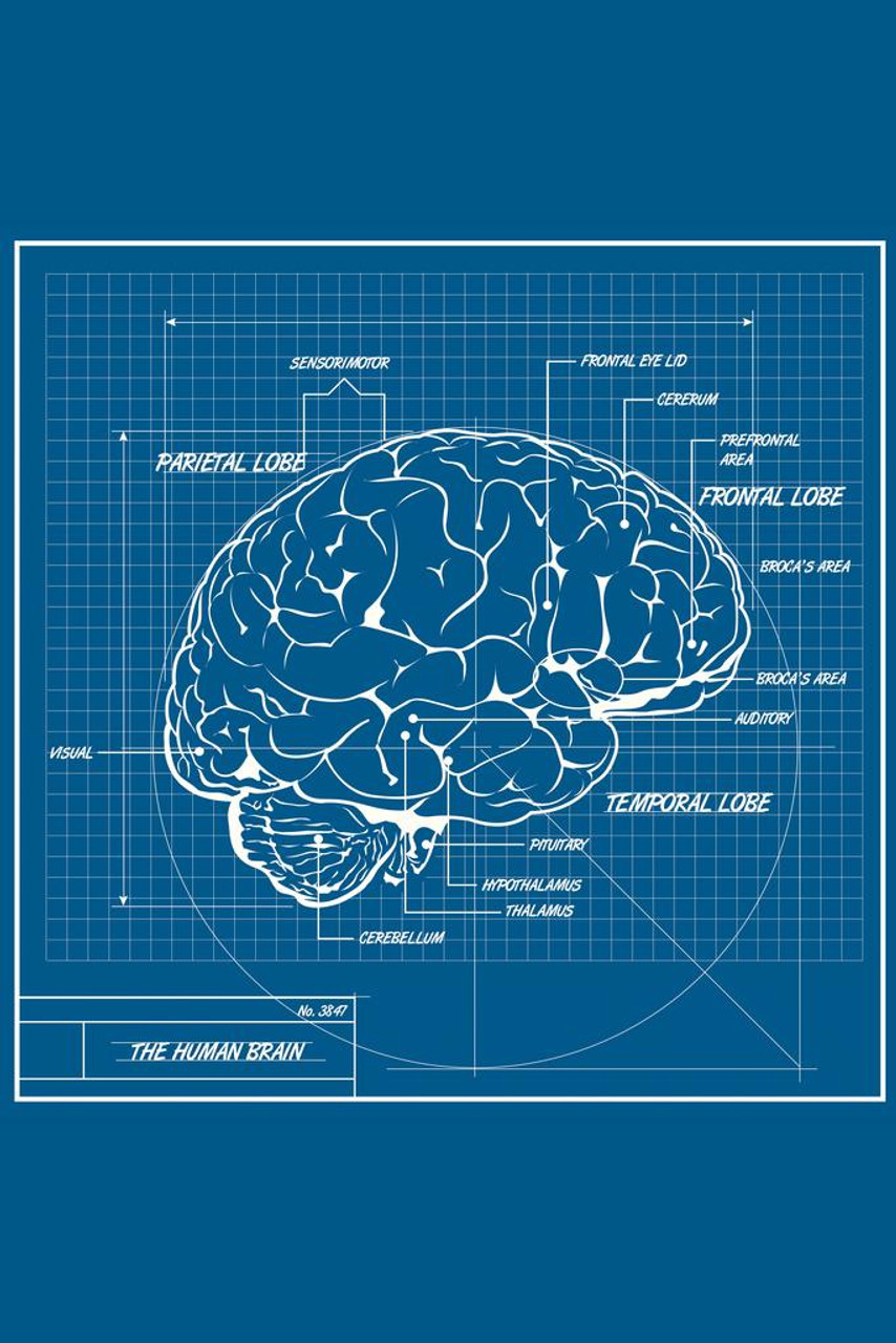 cool human brain